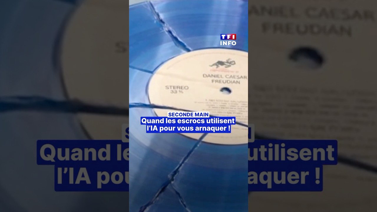 Seconde vie : quand les escrocs utilisent l'IA pour vous arnaquer !｜TF1 INFO