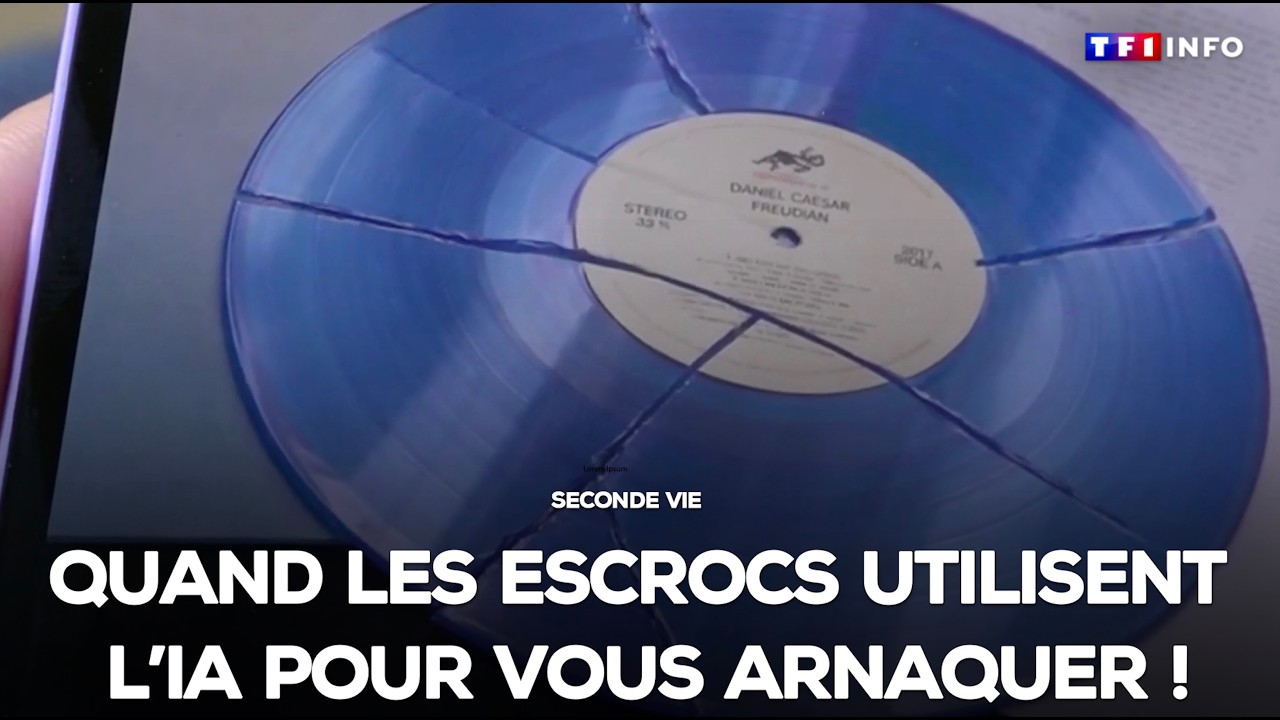 Seconde vie : quand les escrocs utilisent l'IA pour vous arnaquer !｜TF1 INFO