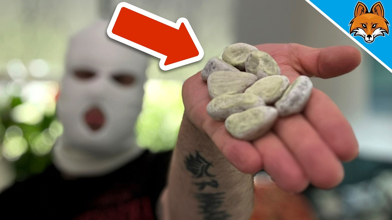 THIS is how Burglars mark your House before they Break in💥(You MUST know)🤯