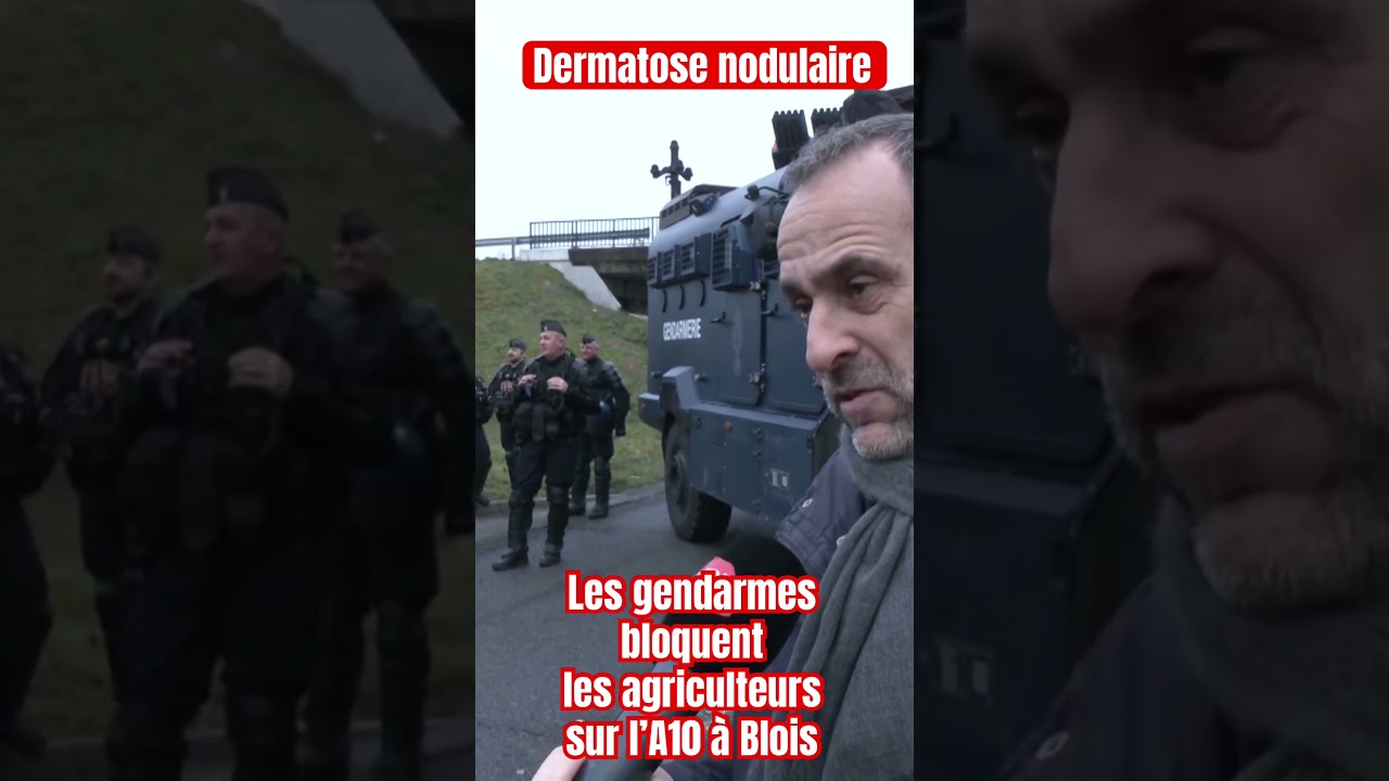 Dermatose nodulaire : les agriculteurs toujours mobilisés bloqués par les gendarmes