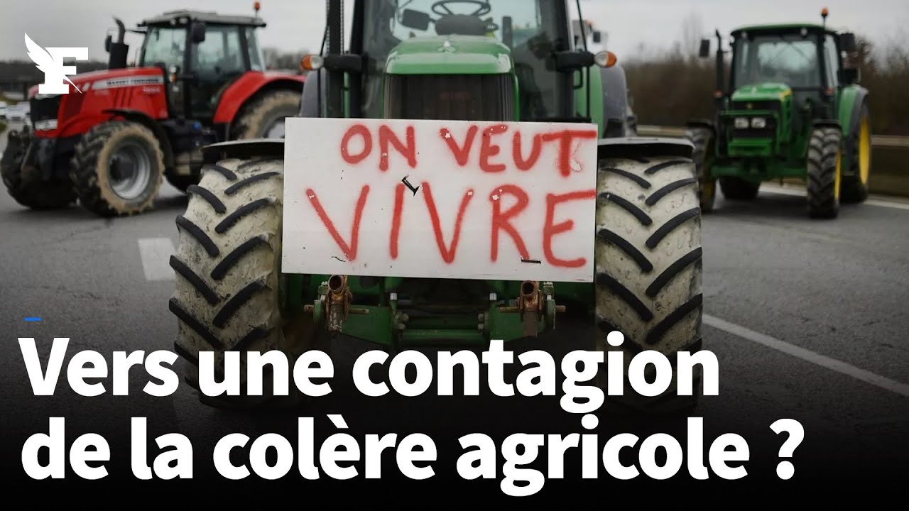 Dermatose nodulaire contagieuse : les enjeux de la crise agricole