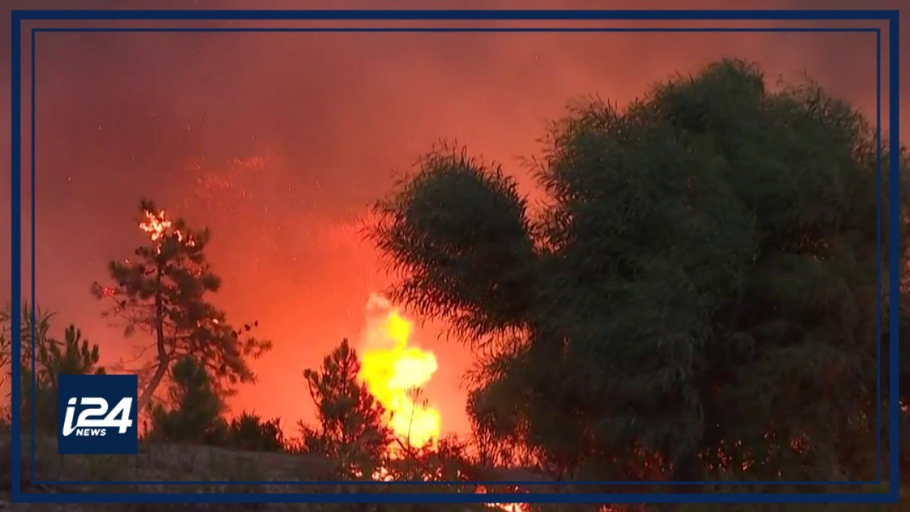 Canicule: les incendies de forêts font rage en Algérie, Tunisie et Grèce