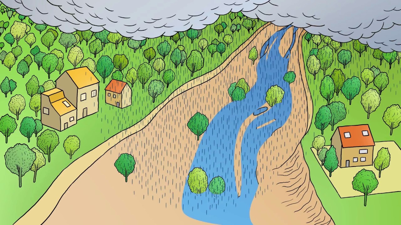 DES COURS D'EAU EN PLEINE FORME