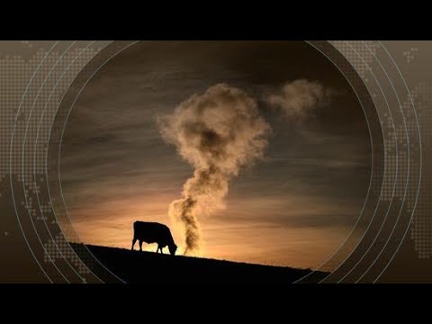 Urgence climatique : un nouveau rapport de l’ONU