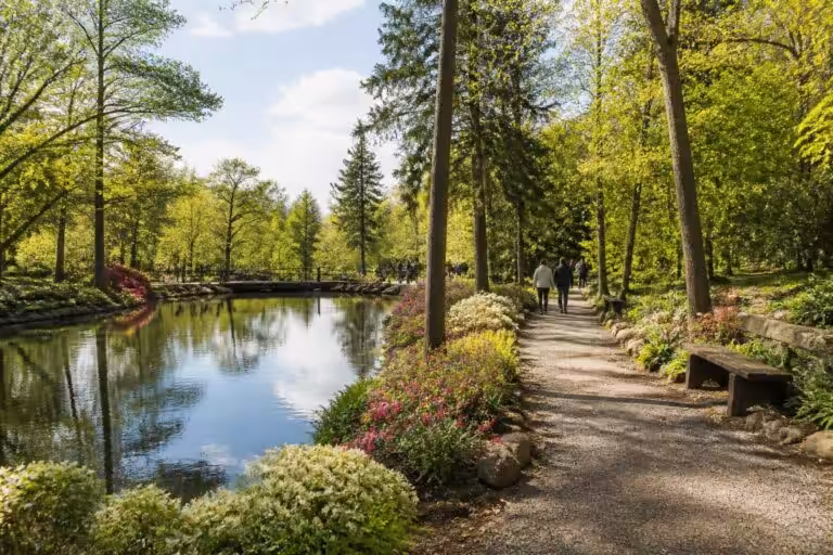 découvrez toutes les informations essentielles pour préparer votre visite au parc de l’ermitage sainte catherine : horaires, activités, conseils pratiques et attractions à ne pas manquer.