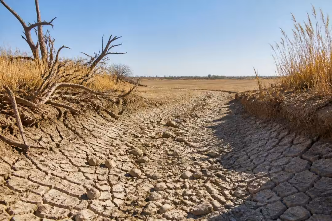 découvrez comment la sécheresse extrême entraîne l'assèchement des petits cours d'eau, creusant des déficits en eau sans précédent et impactant l'environnement et les ressources locales.