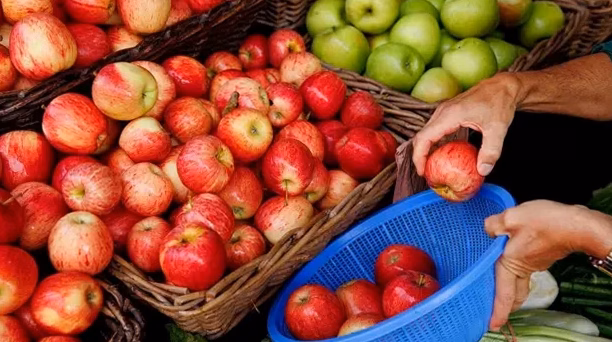 Tour à pomme de terre : fonctionnement, avantages et conseils de culture