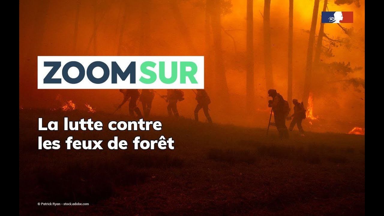 Quelle stratégie pour lutter contre les feux de forêts ?