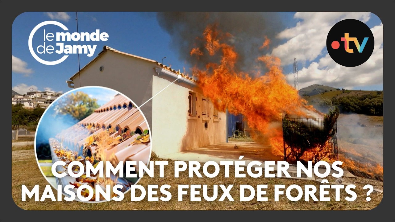 Comment protéger ma maison des feux de forêts ? - Le monde de Jamy